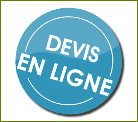 IDP devis gratuit